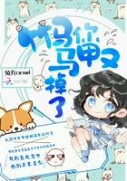 我全属性成长