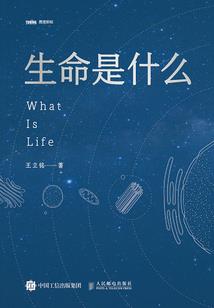 罪恶的旅行