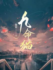 王者之巅峰荣耀