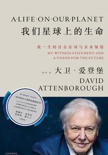 悲催的爱情战争