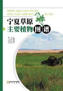 执剑上九霄