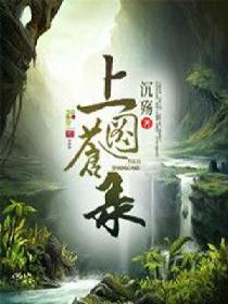 白袍修士在都市