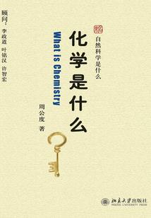 少年伪装者