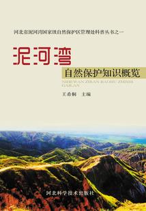 是风迷了眼