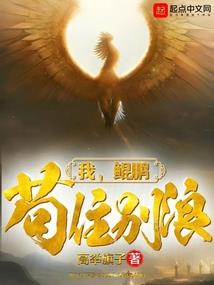 辛若红尘