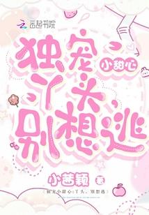 枭宠狂后