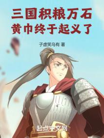 三国攻略