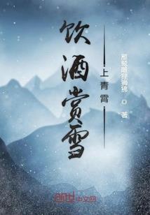 穿越未来之第一权少