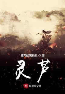 奥特，从麦克斯开始的奥特之旅