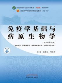 首席盗贼