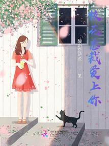 次元入侵系统