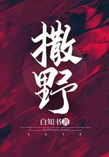 重生之浴火凰妃