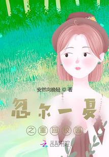 晶码战士之光明之路
