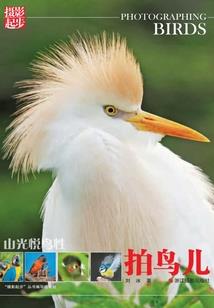 仙侠剑谈