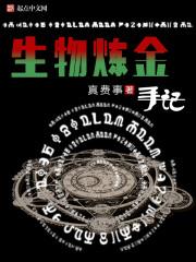 风过无言