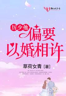 夜隐侠