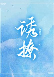 排球少年，至高的主攻手