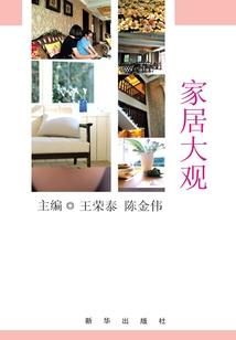 偶像是么