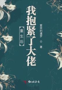 混在二次元的轻小说家