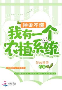 气质小姐计划