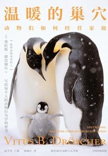七宝斋见闻录