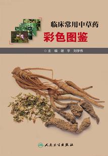 星辰与王座