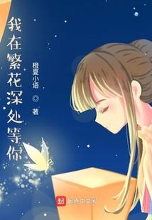 星宿种子幻之银水晶