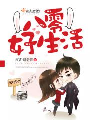 灰飞烟灭只为你见一面
