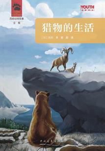校园篮球少年传