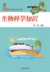 宇宙字数第一书